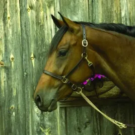 pierscionek-damski-majorica-17218-01-1-913-010-1