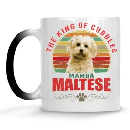 kub-mag-moj-ukochany-pies-rasa-maltese-imie-pieska