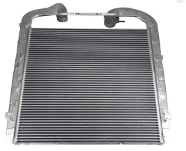 chlodnica-powietrza-daf-xg