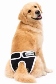 majtki-dla-suczki-na-cieczke-majtki-dla-psa-ochronne-wielorazowe-2xl