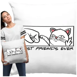 poduszka-dla-wielbicieli-kotow-best-friends-ever