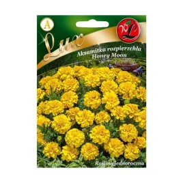 aksamitka-rozpierzchla-pelna-honey-moon-zolta-nasiona-05-g-legutko