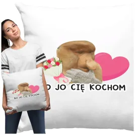 poduszka-bo-jo-cie-kochom-janusz-nosacz-poduszka