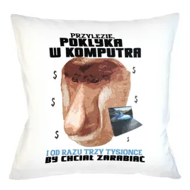 poduszka-40cm-dla-informatyka-prezent-smieszna