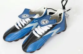 but-dekoracyjny-arminia-bielefeld-ministar-pilkarski-gadzet-kolekcjonerski