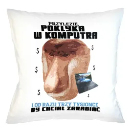 poduszka-40cm-dla-informatyka-prezent-smieszna