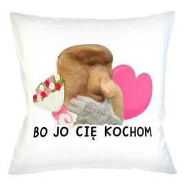 poduszka-bo-jo-cie-kochom-janusz-nosacz-poduszka