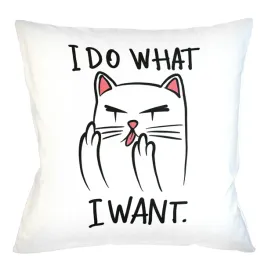 poduszka-dla-wielbicieli-kotow-i-do-what-i-want