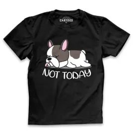 koszulka-meska-not-today-smieszny-tshirt-piesek