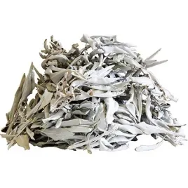 biala-szalwia-wysoka-jakosc-100g