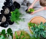 aquael-modul-scienny-versa-garden-plus-zestaw-maksymalna-liczba-donic-wieksza-liczba