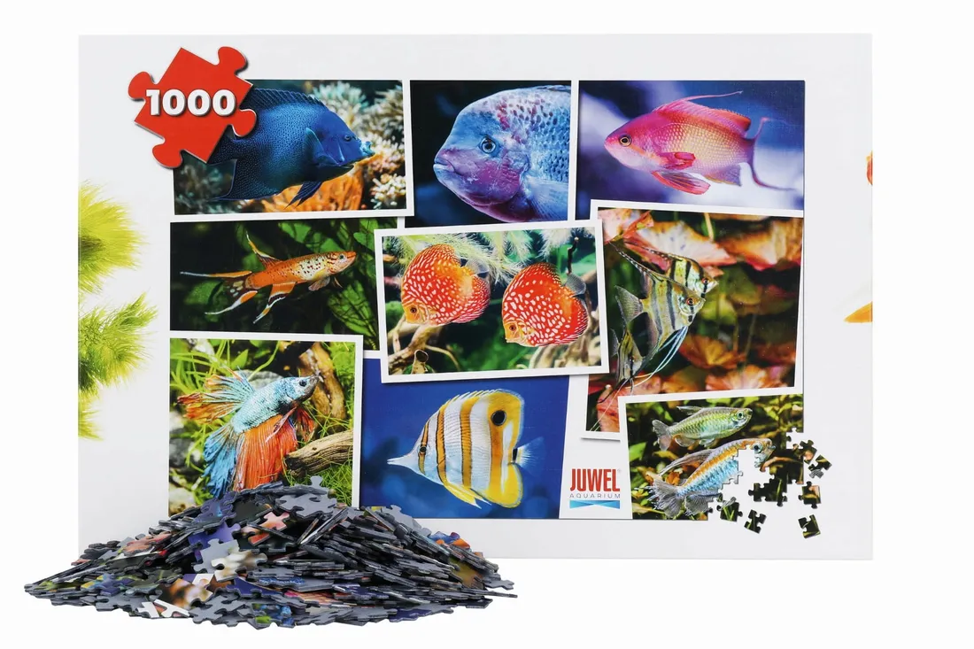 juwel-puzzle-akwarium-v1-1000-elementow-stan-nowy