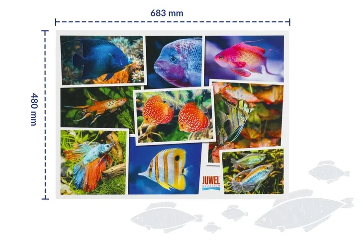 juwel-puzzle-akwarium-v1-1000-elementow-kolekcja-juwel