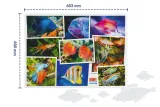 juwel-puzzle-akwarium-v1-1000-elementow-kolekcja-juwel