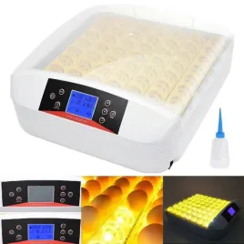 nowoczesny-inkubator-automatyczny-do-56-jaj-kurzych-z-owoskopem-led-220v