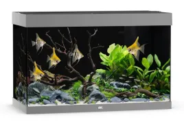 nowoczesne-akwarium-juwel-rio-290l-101x51x66cm-zestaw-akwarium-szare