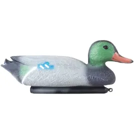 happet-kaczka-krzyzowka-samiec-do-stawu-oczka