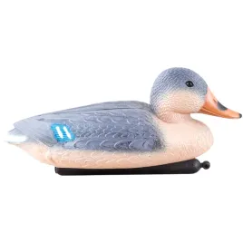 happet-kaczka-krzyzowka-samica-do-stawu-oczka