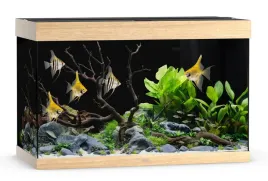 juwel-rio-290l-101x51x66cm-zestaw-akwarium-jasne-drewno-dab