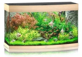 juwel-vision-180l-92x41x55cm-akwarium-jasne-drewno