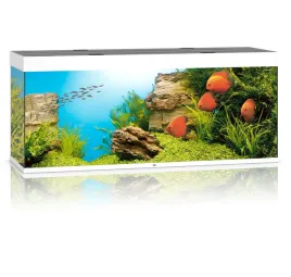 juwel-rio-450l-151x51x66cm-zestaw-akwarium-biale