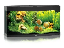 juwel-vision-260l-121x46x64-cm-akwarium-czarne