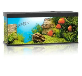 juwel-rio-450l-151x51x66cm-zestaw-akwarium-czarne