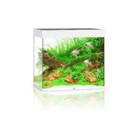 juwel-lido-200l-71x51x65cm-zestaw-akwarium-biale