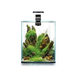 aquael-shrimp-set-20-czarny-dayandnight-25x25x30