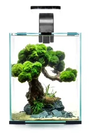 aquael-shrimp-set-20-czarny-dayandnight-25x25x30-male-akwarium-na-krewetki