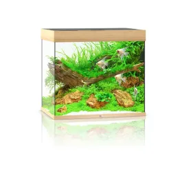 juwel-lido-200l-71x51x65cm-zestaw-akwarium-dab-jas