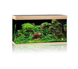 juwel-rio-350l-121x51x66cm-zestaw-akwarium-dab-jas
