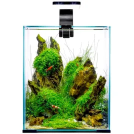 aquael-shrimp-set-20-czarny-dayandnight-25x25x30-akwarium-kostka-krewetkarium