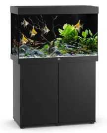 juwel-rio-290l-101x51cm-kompletny-zestaw-z-szafka-czarny-filtr-grzalka-led