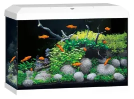 juwel-primo-2-0-70l-kompletny-zestaw-biale-61x31x44cm