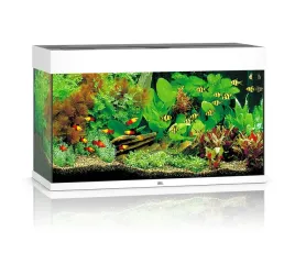 juwel-rio-125l-81x36x50cm-zestaw-akwarium-biale