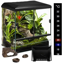 diversa-terraset-terrarium-z-wyposazeniem-60x45x55