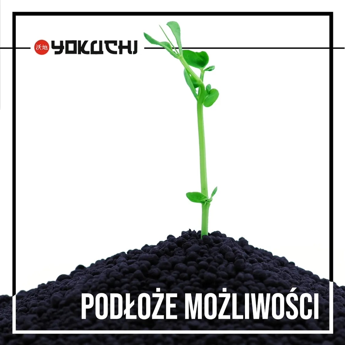yokuchi-janguru-soil-1l