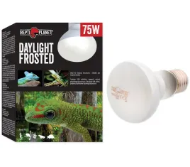 repti-planet-daylight-frosted-do-terrarium-75w