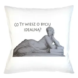 poduszka-poszewka-co-ty-wieszo-byciu-idealna