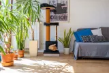 ecomfy-drapak-mega-jack-152cm-szary-liczba-poziomow-3