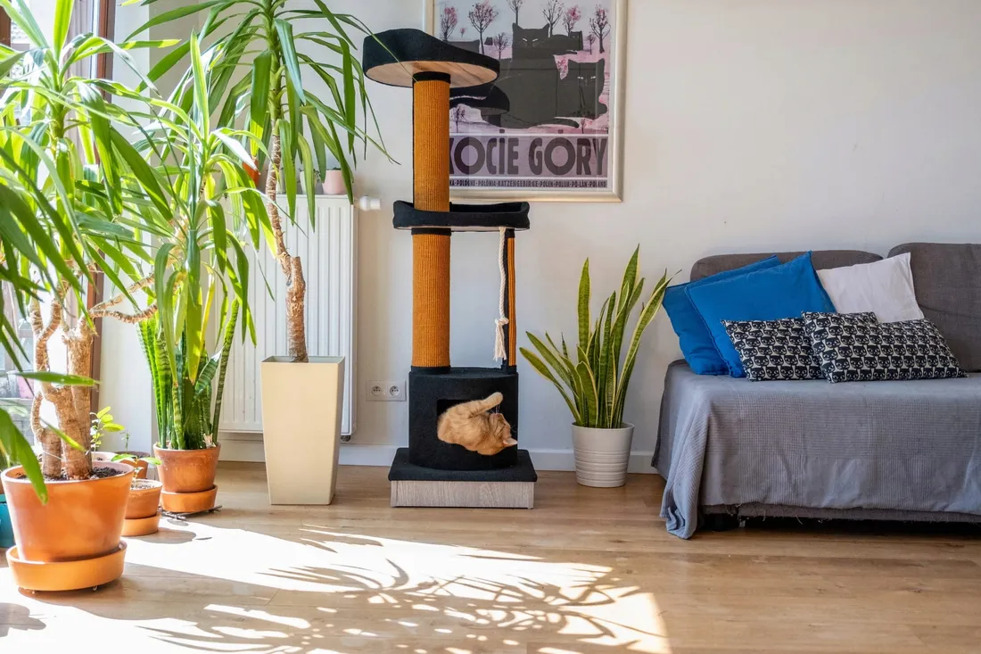 ecomfy-drapak-mega-jack-152cm-szary
