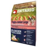 ontario-puppyandjunior-large-chicken-225kg
