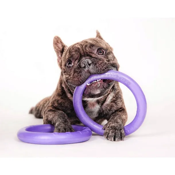 collar-puller-micro-125-ring-do-cwiczen-dla-psow-stan-nowy-waga-30-g