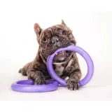 collar-puller-micro-125-ring-do-cwiczen-dla-psow-stan-nowy-waga-30-g