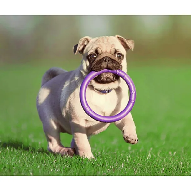 collar-puller-mini-18cm-ring-do-cwiczen-dla-psow-stan-nowy-waga-150-g