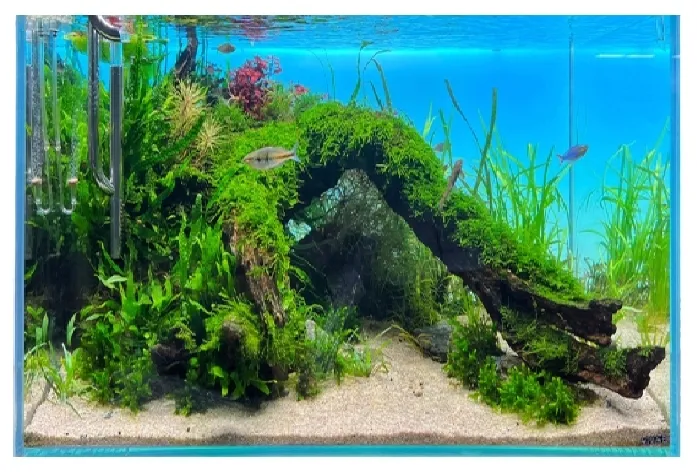 diversa-backlight-panel-oswietleniowy-tlo-do-akwarium-rgb-led-60x30cm-efekt