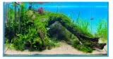 diversa-backlight-panel-oswietleniowy-tlo-do-akwarium-rgb-led-90x45cm-efekt