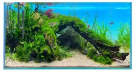 diversa-backlight-panel-oswietleniowy-tlo-do-akwarium-rgb-led-90x45cm-efekt