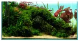 diversa-backlight-panel-oswietleniowy-tlo-do-akwarium-rgb-led-90x45cm-efekt-stan-nowy
